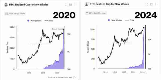 CryptoQuant CEO：比特币目前数据与2020年牛市初期相似